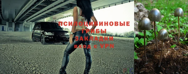 прущие крисы Алексин