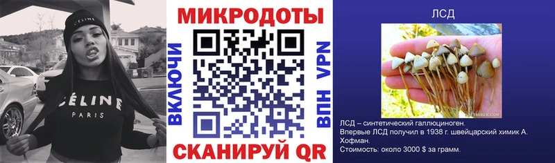 купить  сайты  Коркино  OMG онион  Псилоцибиновые грибы Psilocybe 