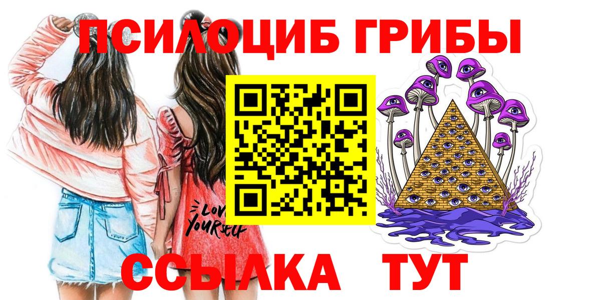 Коркино  Псилоцибиновые грибы Cubensis  Вход с VPN 