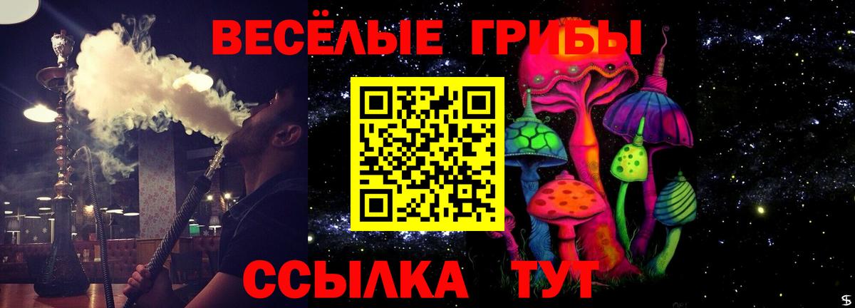 Псилоцибиновые грибы Psilocybe Коркино